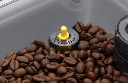 Detaljbild Gaggia Cadorna inställning kaffekvarn